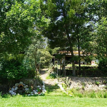 Willa Quinta Do Vale Grande Albergaria-a-Velha Zewnętrze zdjęcie