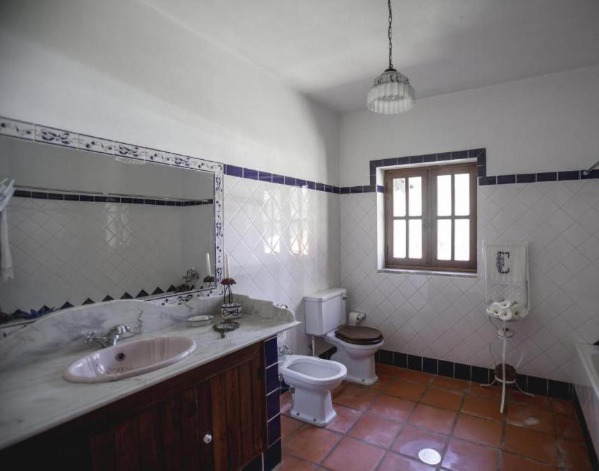 Willa Quinta Do Vale Grande Albergaria-a-Velha Zewnętrze zdjęcie