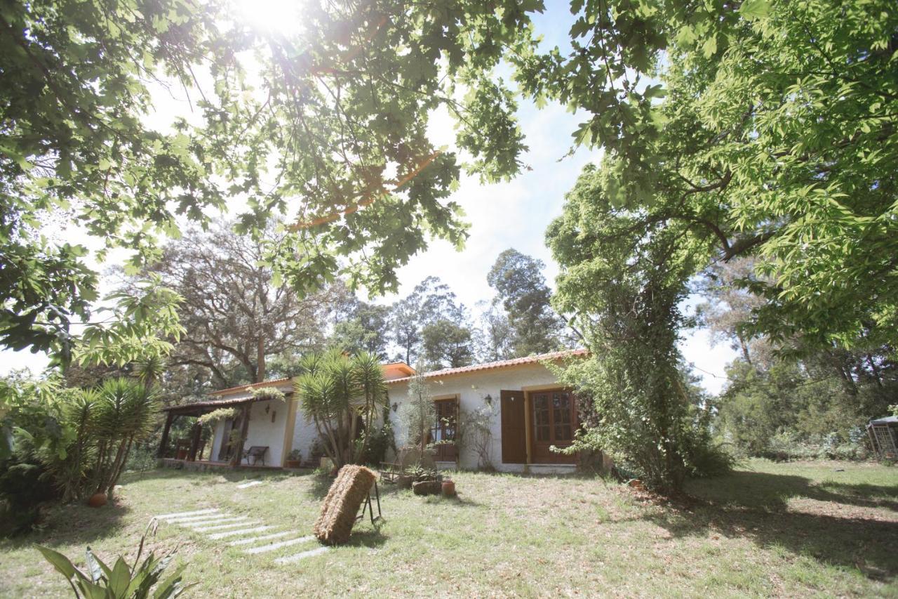 Willa Quinta Do Vale Grande Albergaria-a-Velha Zewnętrze zdjęcie