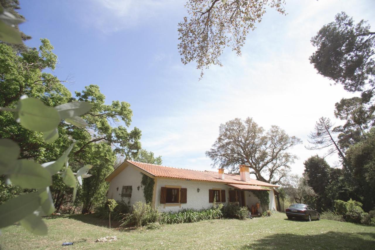 Willa Quinta Do Vale Grande Albergaria-a-Velha Zewnętrze zdjęcie