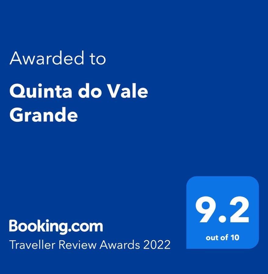 Willa Quinta Do Vale Grande Albergaria-a-Velha Zewnętrze zdjęcie