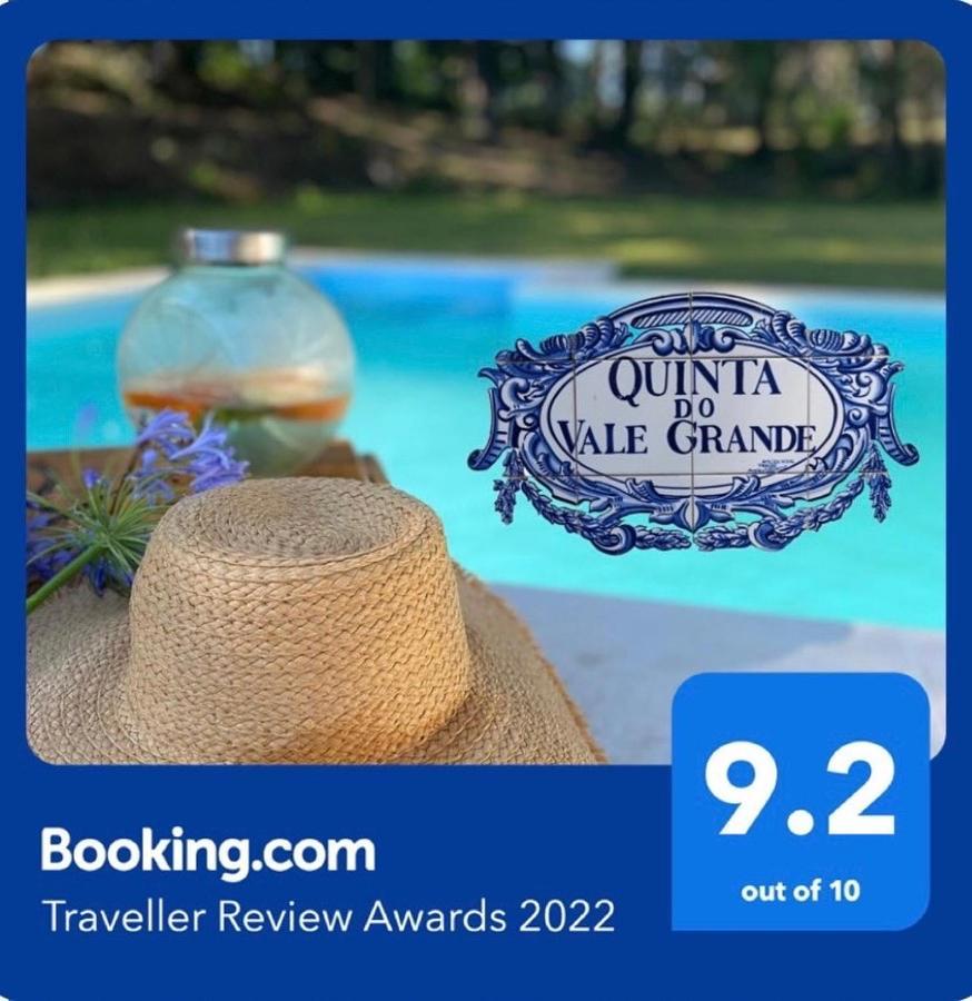 Willa Quinta Do Vale Grande Albergaria-a-Velha Zewnętrze zdjęcie