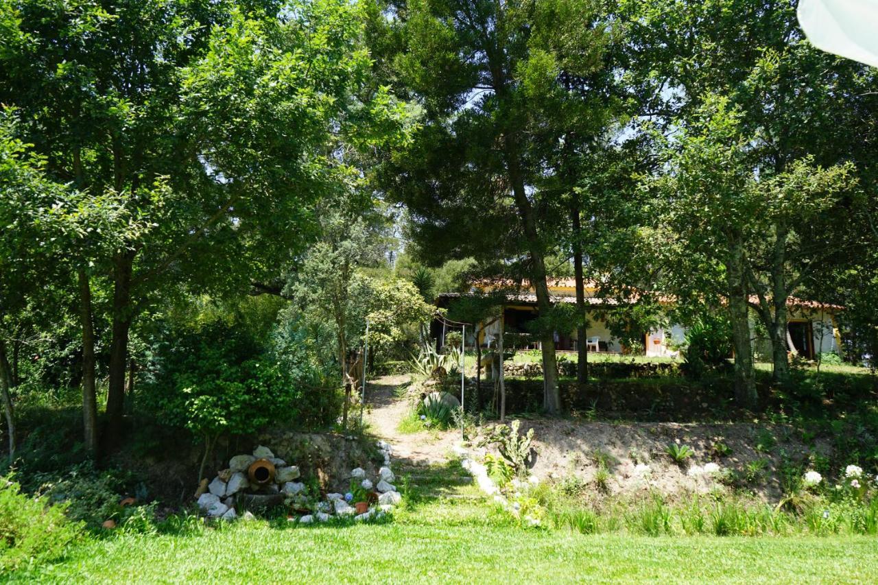 Willa Quinta Do Vale Grande Albergaria-a-Velha Zewnętrze zdjęcie
