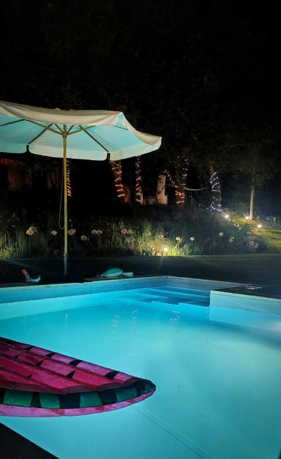 Willa Quinta Do Vale Grande Albergaria-a-Velha Zewnętrze zdjęcie