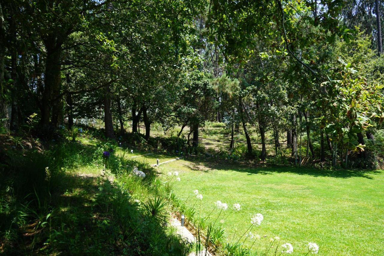 Willa Quinta Do Vale Grande Albergaria-a-Velha Zewnętrze zdjęcie