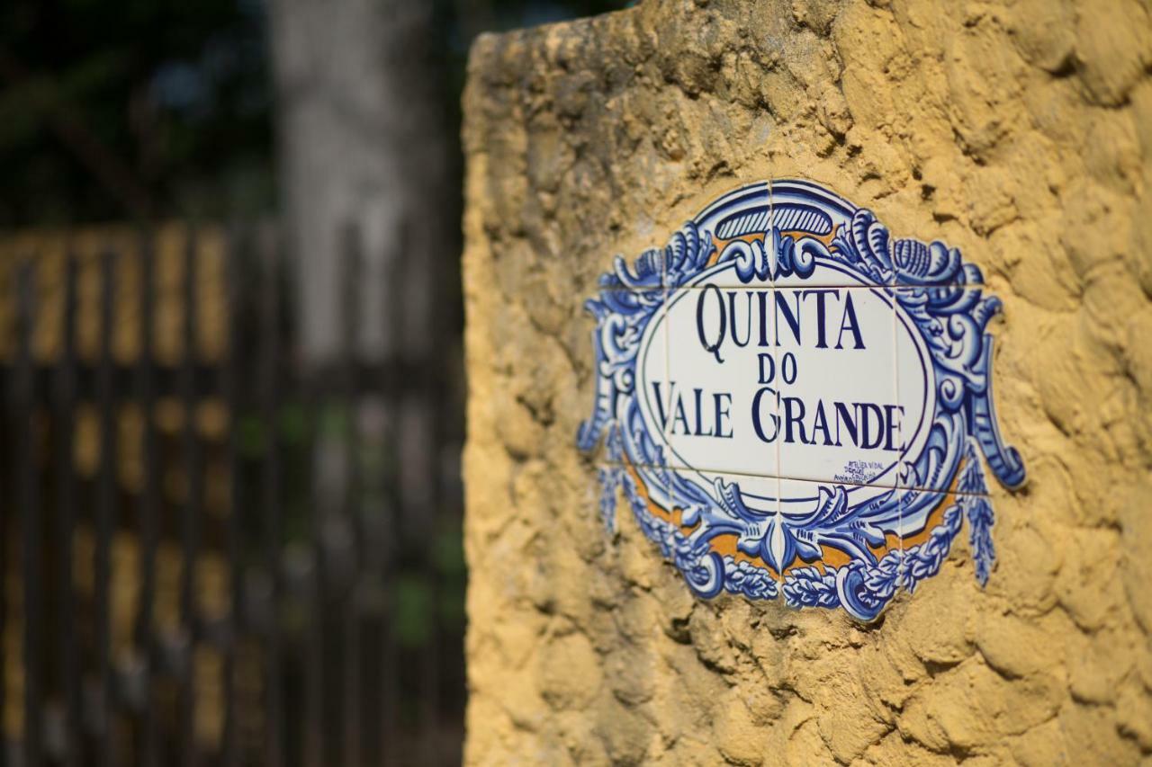 Willa Quinta Do Vale Grande Albergaria-a-Velha Zewnętrze zdjęcie