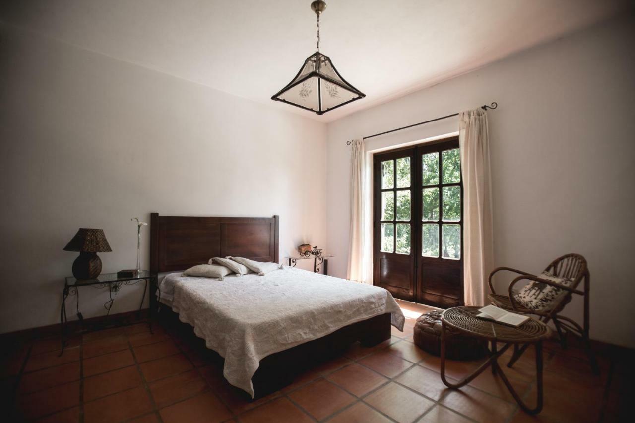 Willa Quinta Do Vale Grande Albergaria-a-Velha Zewnętrze zdjęcie